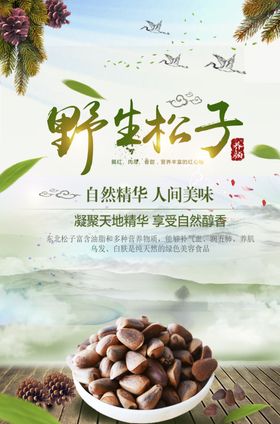 清新风格野生松子海报