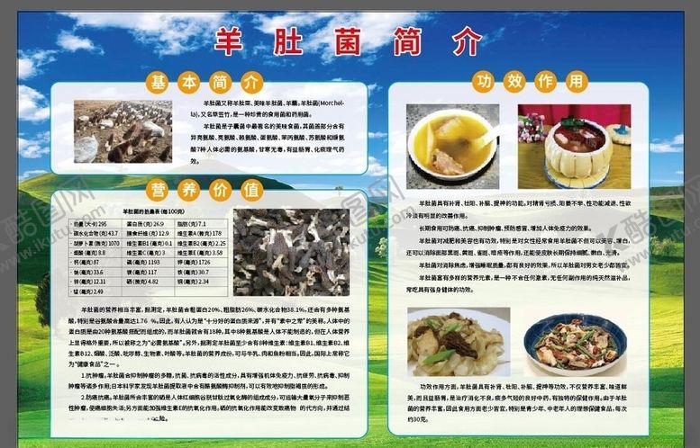 编号：51961410291832232252【酷图网】源文件下载-羊肚菌简介