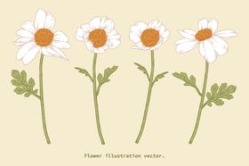 花蕊