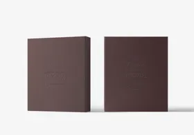 贴图样机塑料袋包装异形包装涂料桶包装纸箱包装
