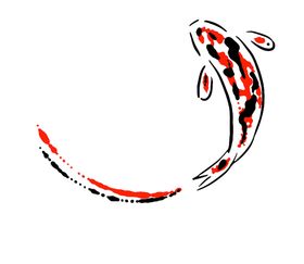 锦鲤