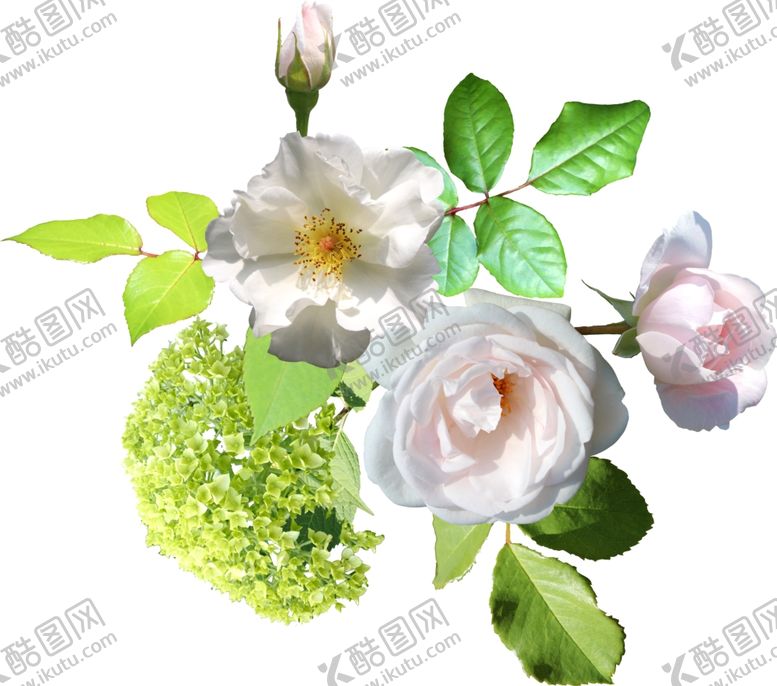 编号：84086410241508175379【酷图网】源文件下载-花朵