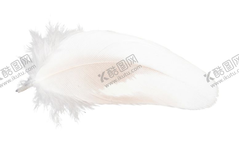 编号：99014809192031013395【酷图网】源文件下载-白色羽毛漂浮素材