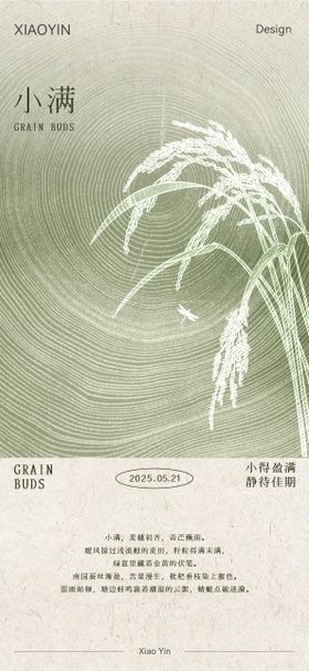 小满节气极简海报