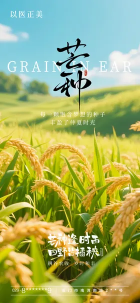 芒种海报