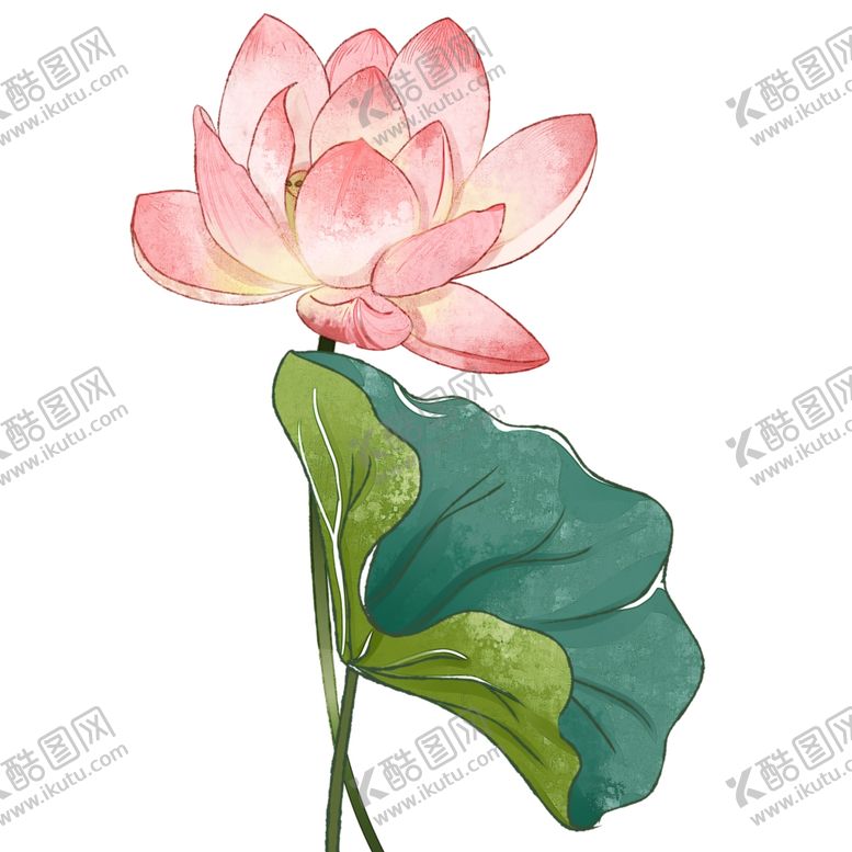 编号：25285710312157281454【酷图网】源文件下载-荷花荷叶夏季粉色插画清新海报