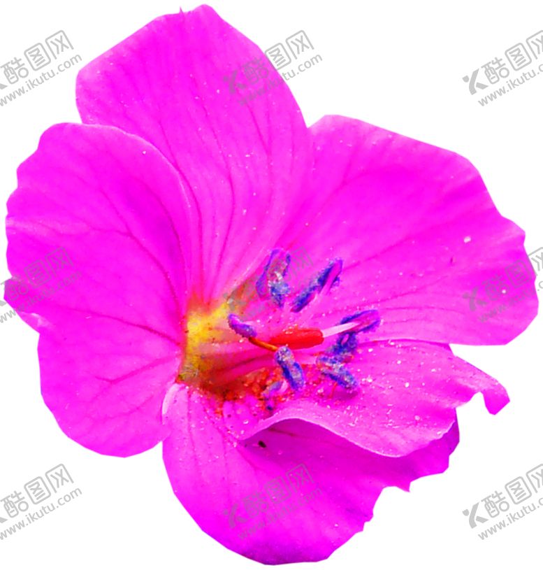 编号：20004509141305544645【酷图网】源文件下载-浪漫素材