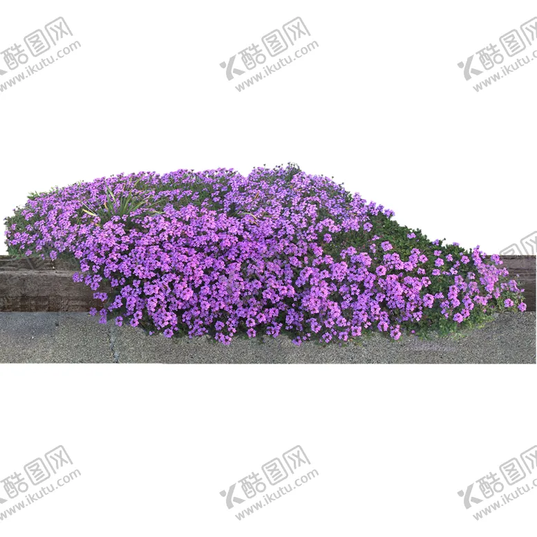 编号：77347806160818486702【酷图网】源文件下载-绿色相框