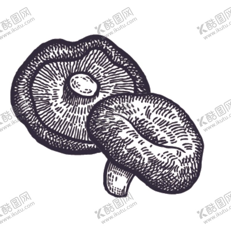 编号：10209207022321154387【酷图网】源文件下载-餐饮食物插画元素