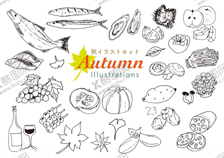 编号：46753511151308361491【酷图网】源文件下载-秋季美食与元素插画
