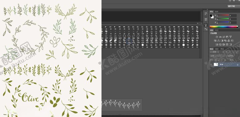 编号：59720910291327387343【酷图网】源文件下载-笔刷橄榄树叶