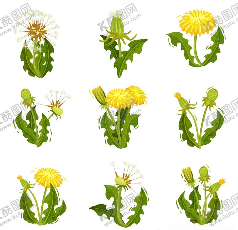 编号：38046610052049247854【酷图网】源文件下载-植物背景