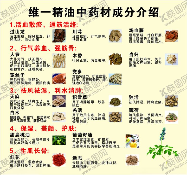 编号：25591101131234185456【酷图网】源文件下载-维一精油中药材成分介绍
