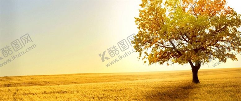 编号：90343210061459321357【酷图网】源文件下载-红色背景