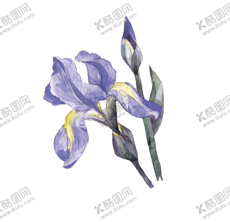 编号：48797607141726262749【酷图网】源文件下载-水彩植物