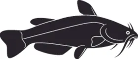 海洋生物系列海鱼