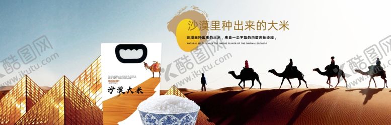 编号：90803209110250422197【酷图网】源文件下载-大米首焦大图