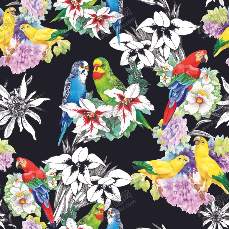 编号：45141409281138036555【酷图网】源文件下载-手绘花鸟背景