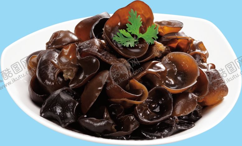 编号：79784910210341562094【酷图网】源文件下载-黑色木耳