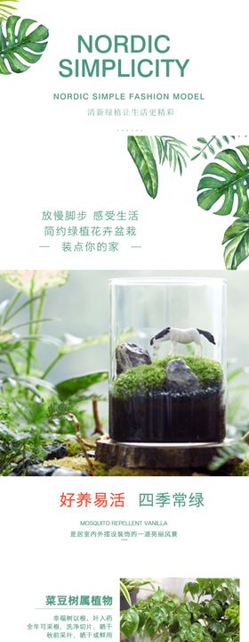 绿植详情页