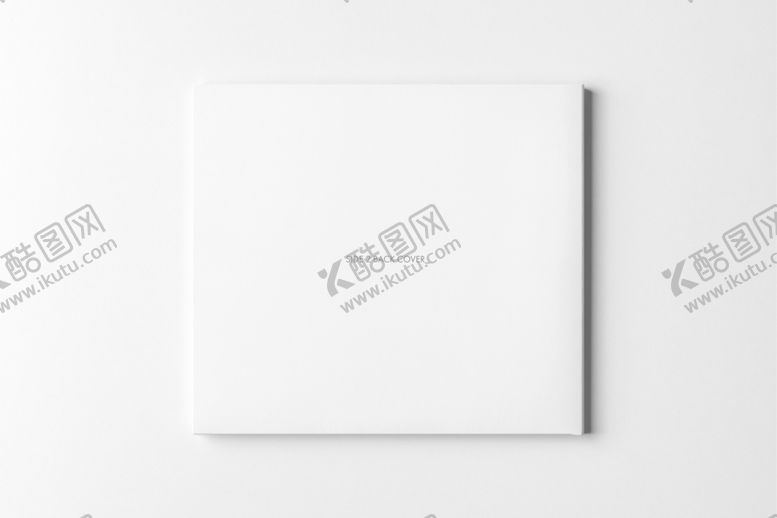 编号：50107010010202296021【酷图网】源文件下载-CD贴图样机