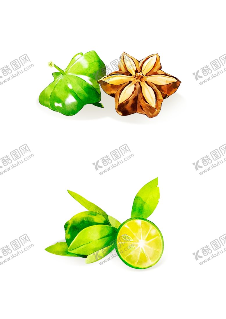 编号：55648004131624263560【酷图网】源文件下载-手绘八角柠檬