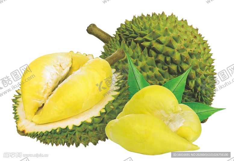 编号：47591104211902184699【酷图网】源文件下载-新鲜榴莲果肉饱满诱人