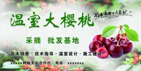 温室大樱桃