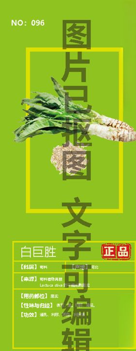 白巨胜