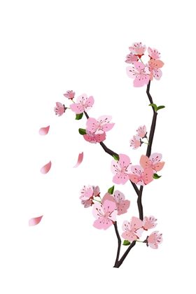 樱花素材节活动枝春天手绘