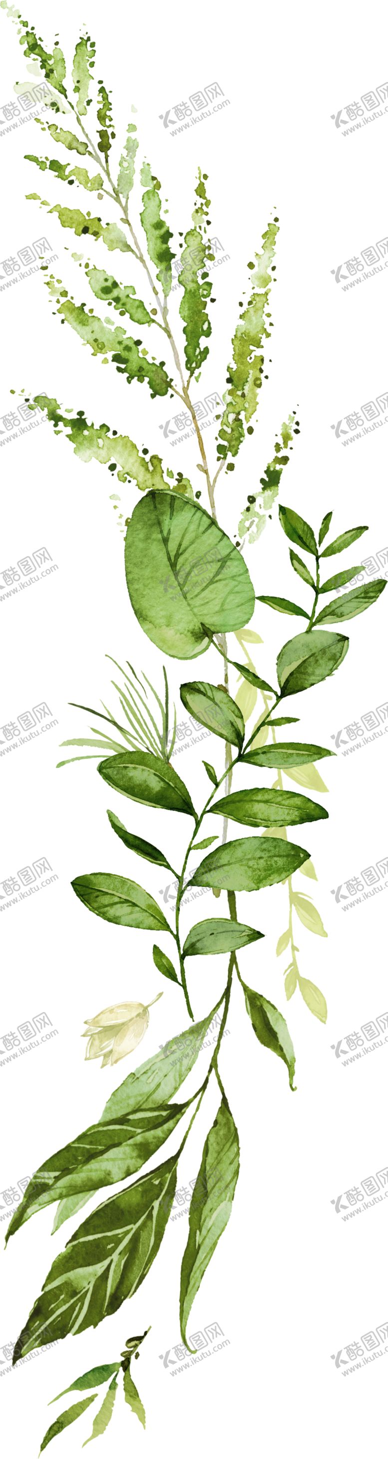 编号：48466505082109569326【酷图网】源文件下载-手绘植物叶子