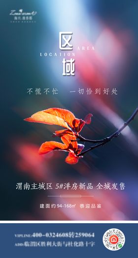 房地产洋房宣传