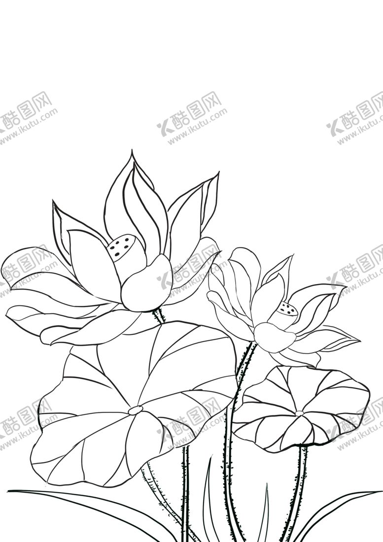 编号：22281202080429227820【酷图网】源文件下载-荷叶
