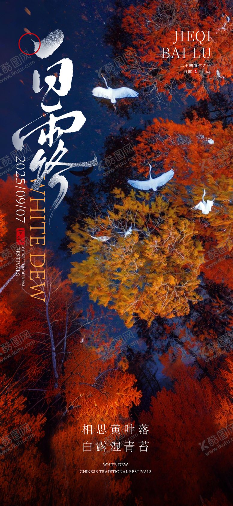 编号：93865907132321022567【酷图网】源文件下载-白露节气海报