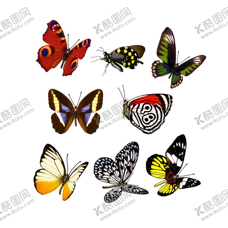 编号：92901810180244563659【酷图网】源文件下载-蝴蝶