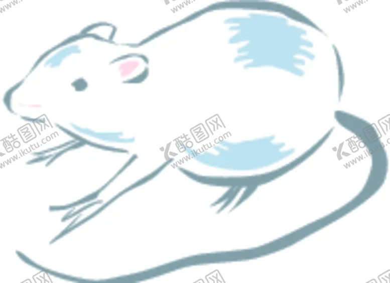 编号：29062307042205554459【酷图网】源文件下载-玉鼠
