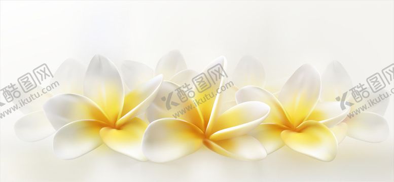 编号：92651109220622158127【酷图网】源文件下载-花卉