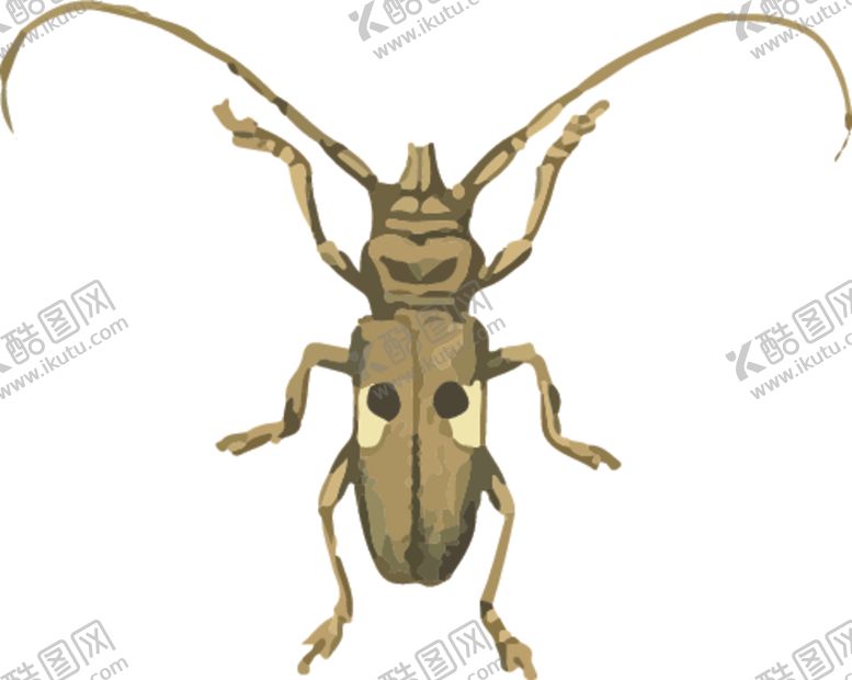 编号：42341407122113411542【酷图网】源文件下载-长须甲虫昆虫插画