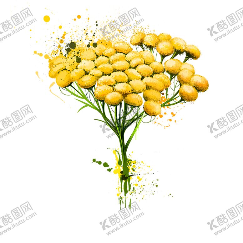 编号：98793806240626331815【酷图网】源文件下载-鲜花装饰