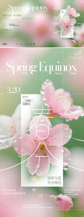 春分花开节气海报