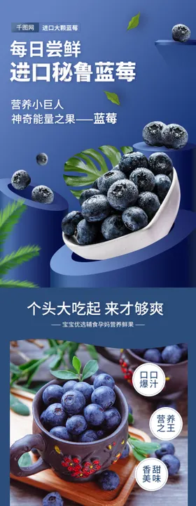 蓝莓详情