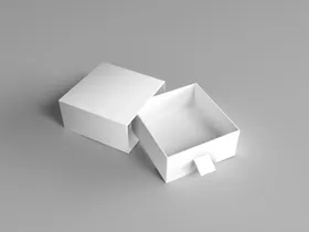 纸盒样机