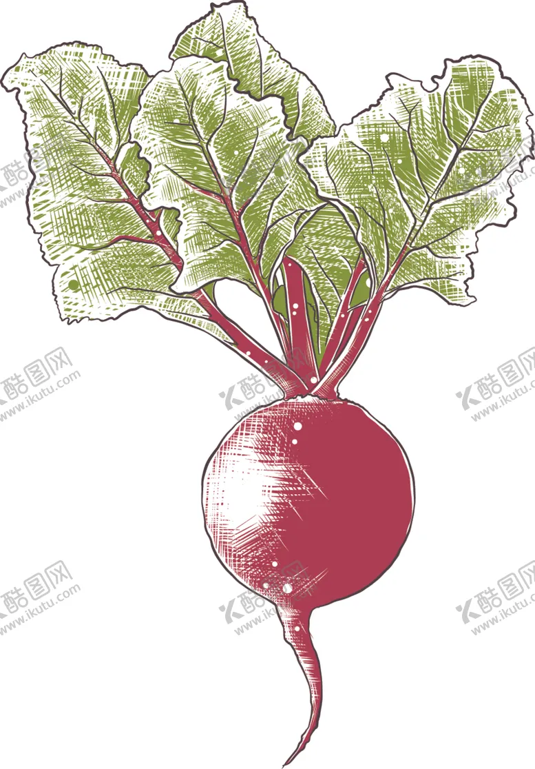 编号：68559910061326366513【酷图网】源文件下载-彩绘蔬菜