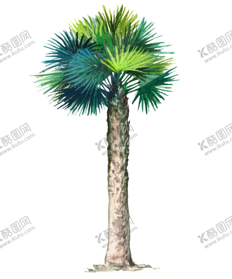 编号：16833906281124312623【酷图网】源文件下载-卡通树木