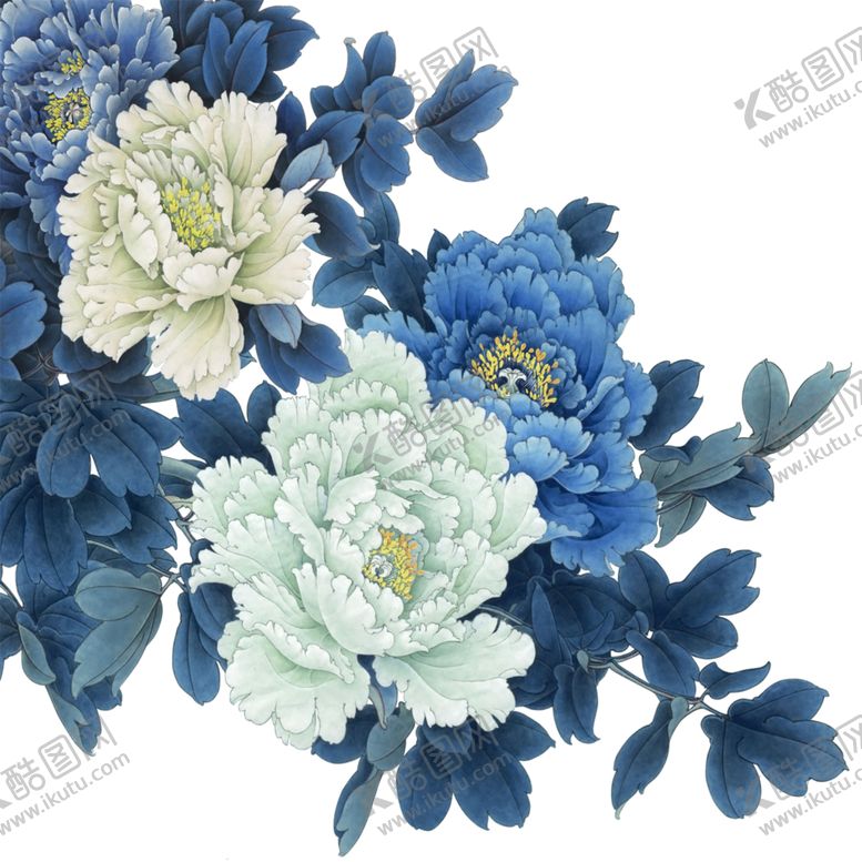 编号：11708910170025136334【酷图网】源文件下载-牡丹花