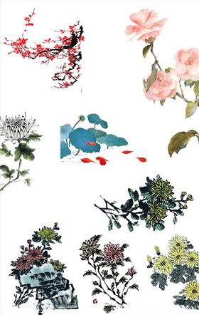 菊花郁金香百合花梅花