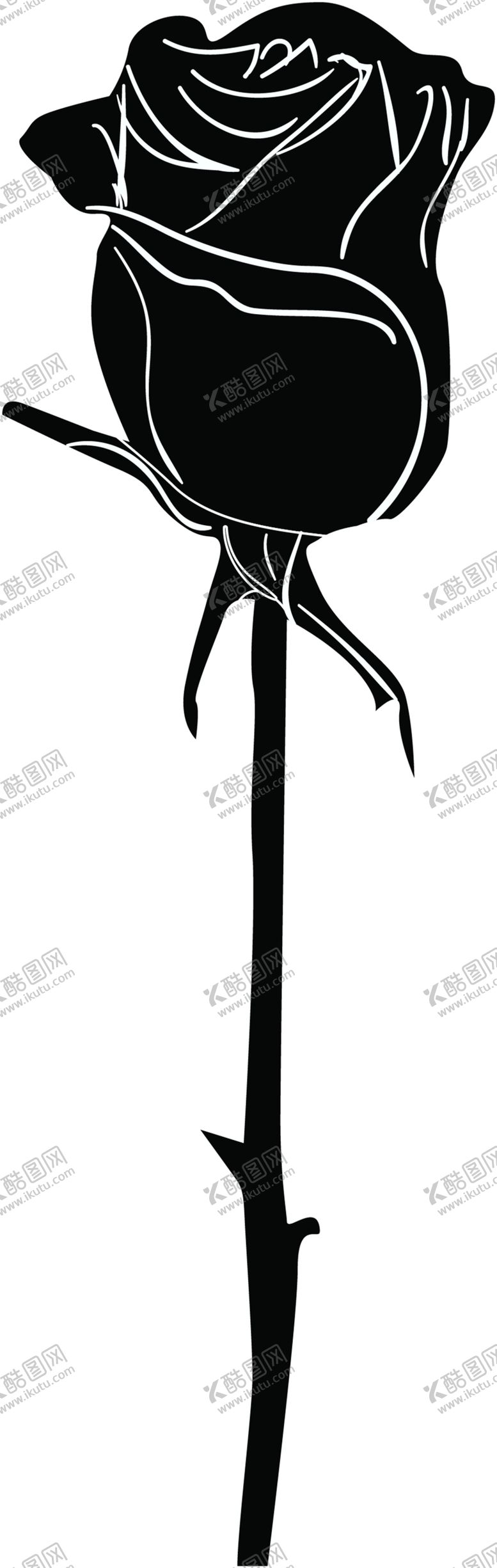 编号：15182609240945531872【酷图网】源文件下载-鲜花素材