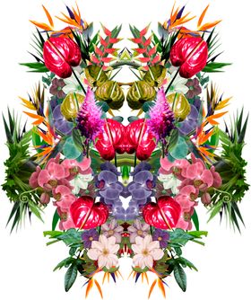 数码印花