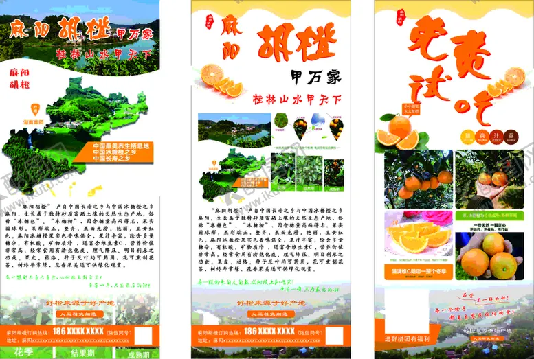 编号：02584110120306197695【酷图网】源文件下载-胡橙  橙子展架  水果海报