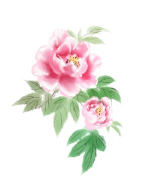 手绘水彩古风牡丹插画设计